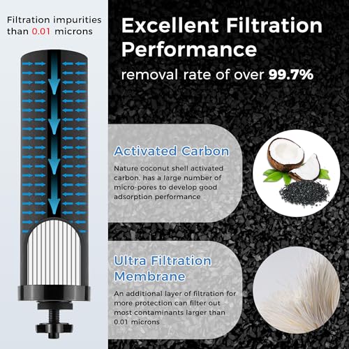 Activated Carbon Black Water Filter Compatible with Berkey® (2 Count)