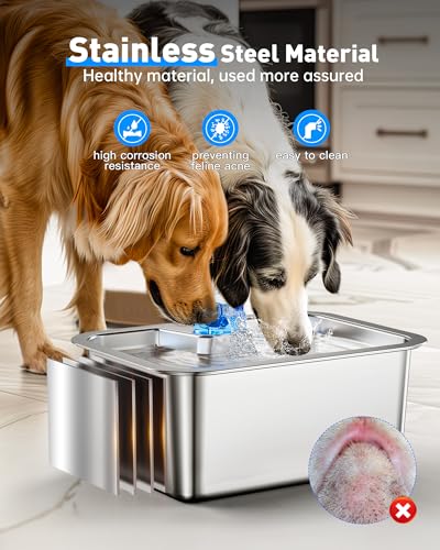 Stainless Steel Dog Water Fountain