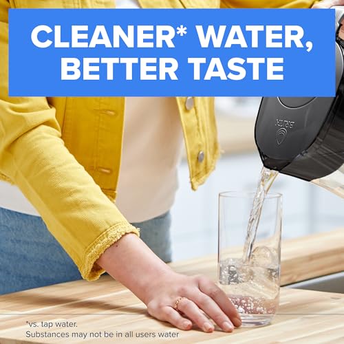 Small 10 Cup Water Filter Pitcher