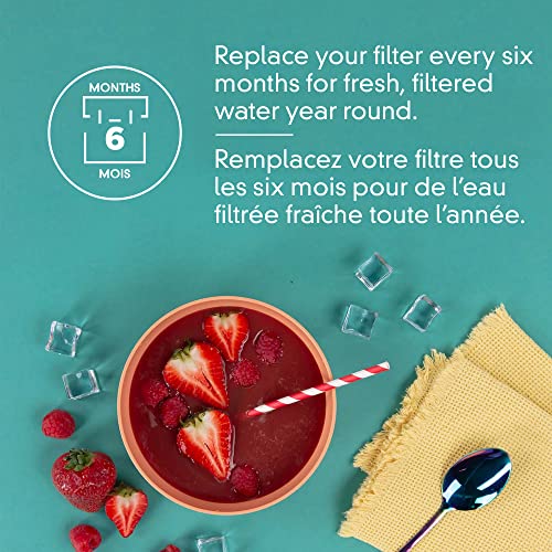 Refrigerator Ice and Water Filter 4