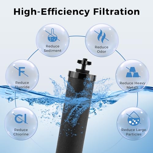 Activated Carbon Black Water Filter Compatible with Berkey® (2 Count)