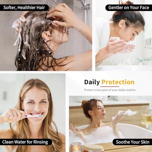 Shower Head Replacement Filter Compatible with Delta 5SF100 (2 Count)