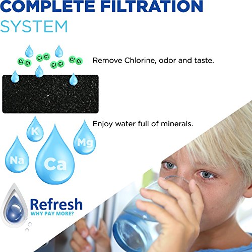 Refresh Refrigerator Water Filter Replacement