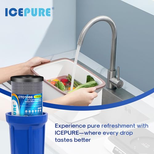 10" x 4.5" Whole House Sediment Activated Carbon Water Filter 2Pack (2 Count)