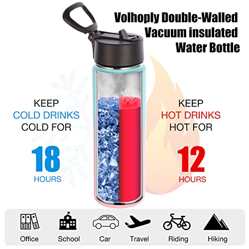 22 oz Insulated Water Bottles with Straw Lid