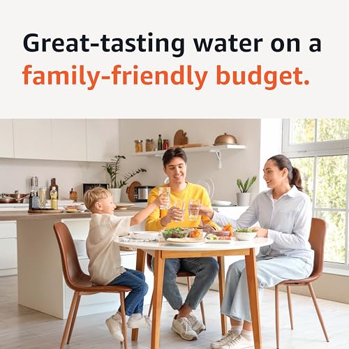 Enhanced Water Filters for Pitcher (3 Count)