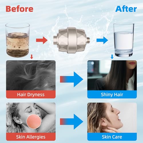 Shower Head Filter