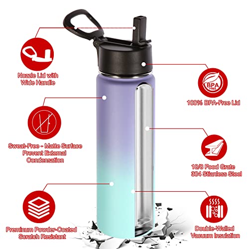 Insulated Water Bottles with Straw Bulk 4 Pack (4 Count)