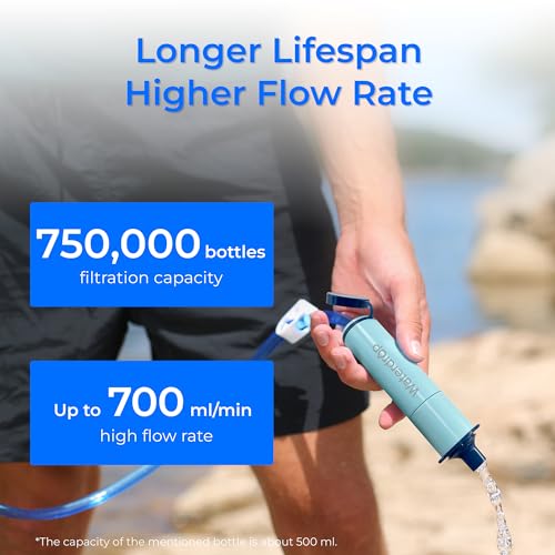 Portable Water Filter Straw (4 Count)