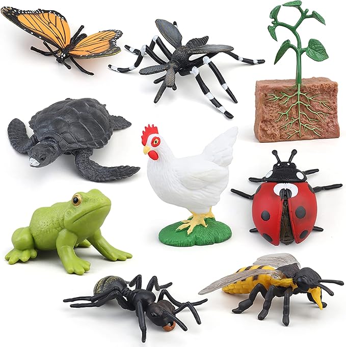 Montessori Frog Life Cycle with Flash Cards, Plastic Insects Tadpole to Frog Kit Toy, Realistic Animal Figurines